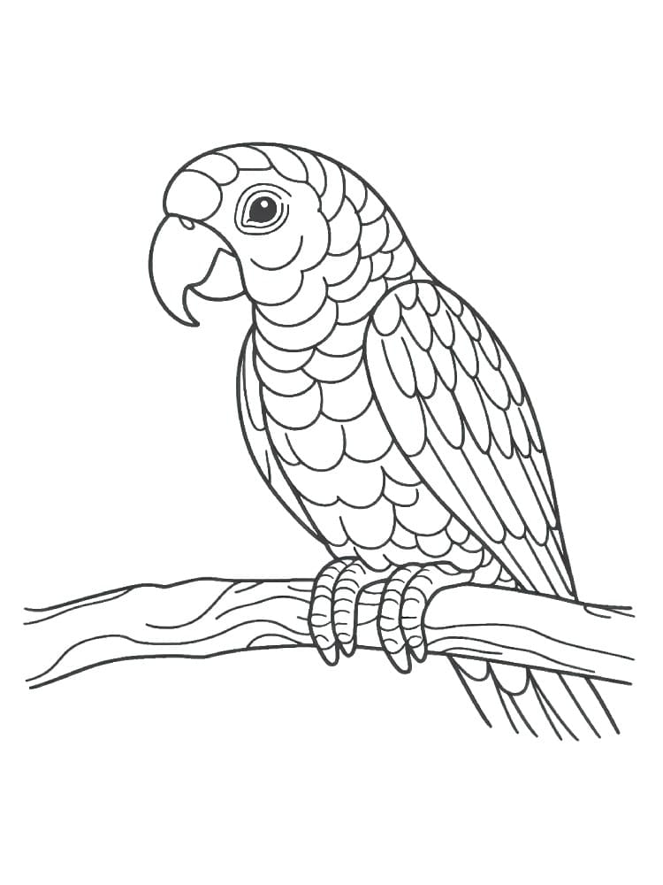 Dessin De Perroquet Esquisser coloring page