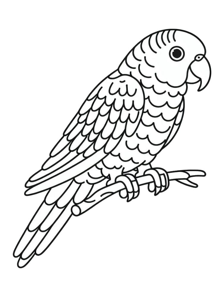 Dessin De Perroquet Pour Enfants coloring page