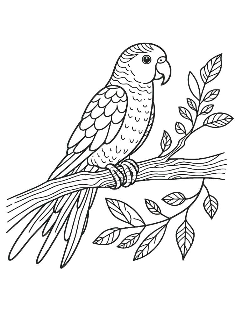 Dessin De Perroquet coloring page