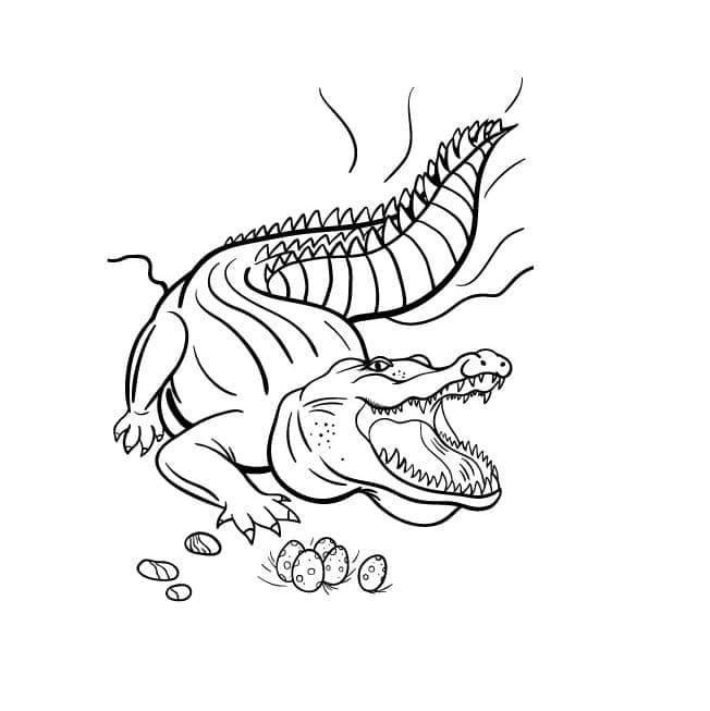 Dessin De Un Crocodile Et Oeufs coloring page