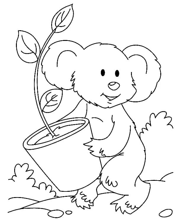 Gentil Koala coloring page