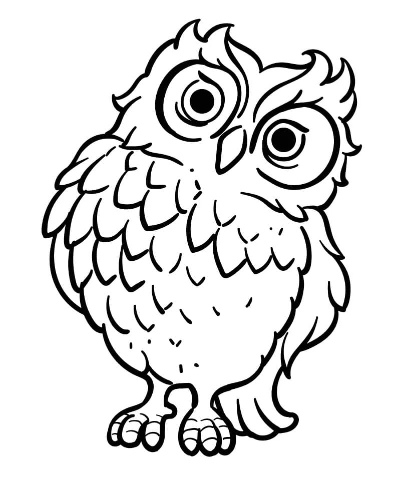 Image De Hibou Curieux coloring page