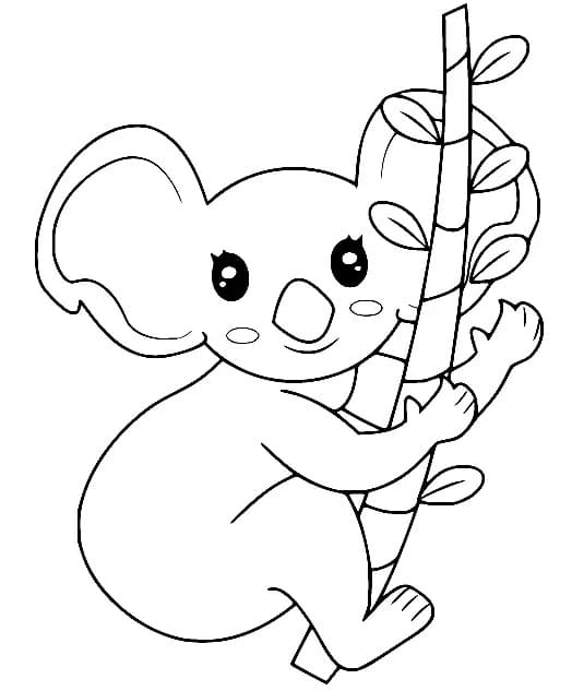 Joli Koala coloring page