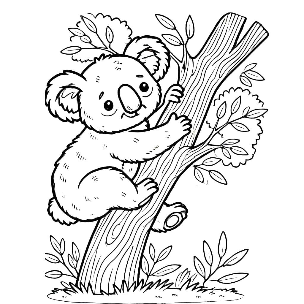 Koala Pour Les Enfants De 5 An coloring page