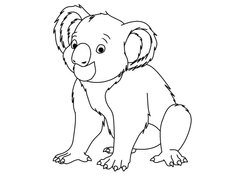 Koala Pour Les Enfants coloring page