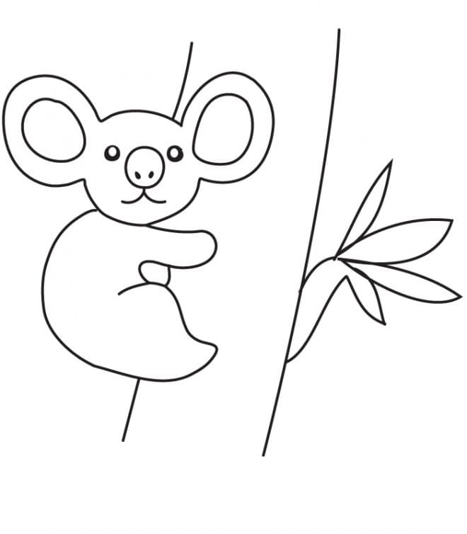 Koala Simple coloring page