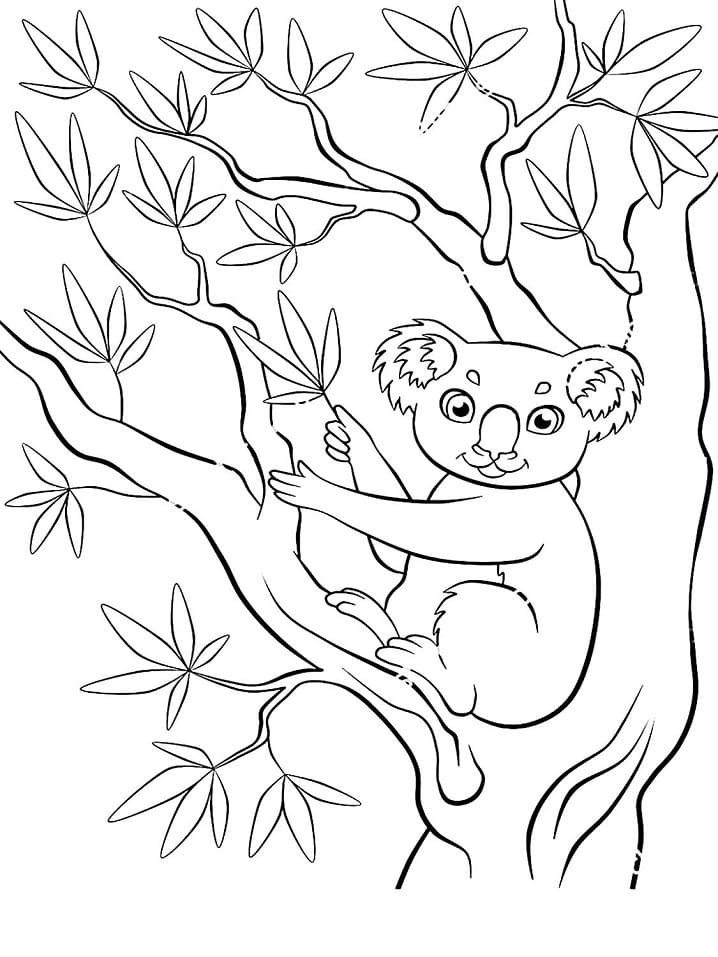Coloriage Koala Sur l'arbre