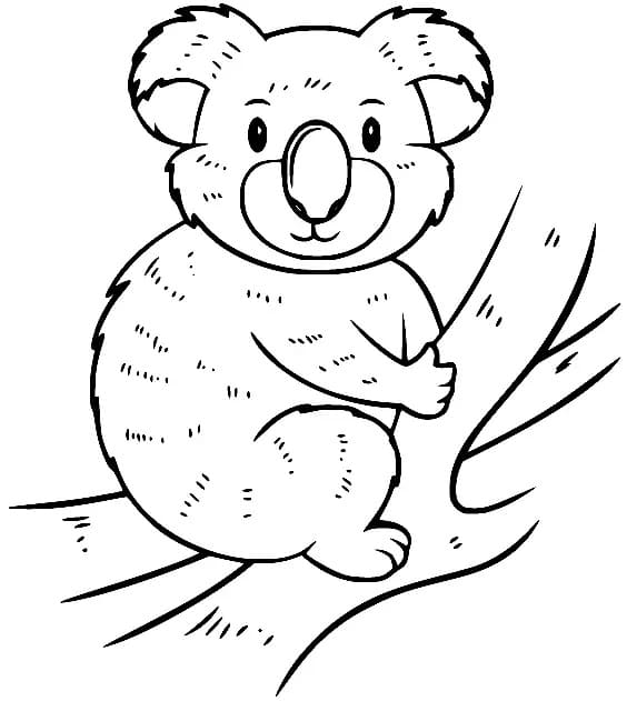 Koala Sur Une Branche coloring page