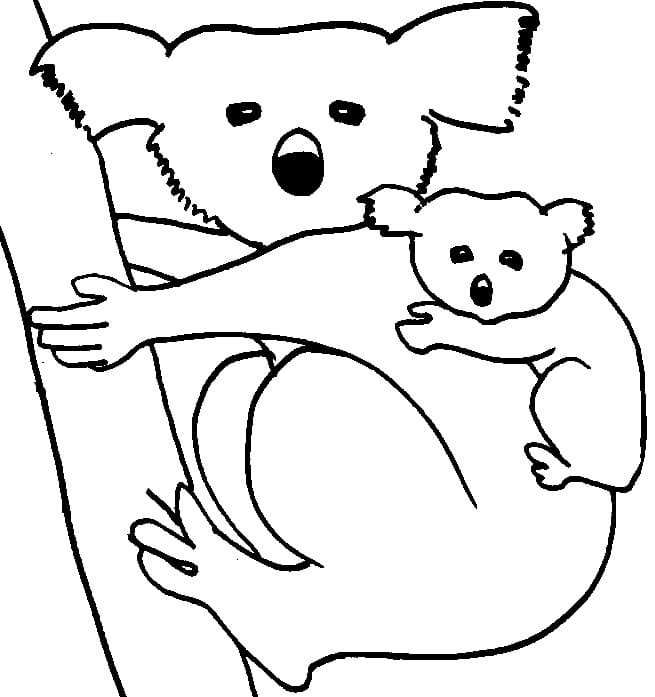 Coloriage Mère et Bébé Koala