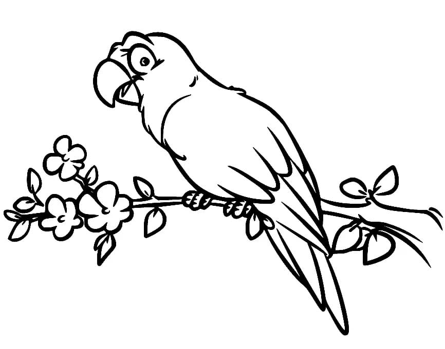 Perroquet Curieux coloring page