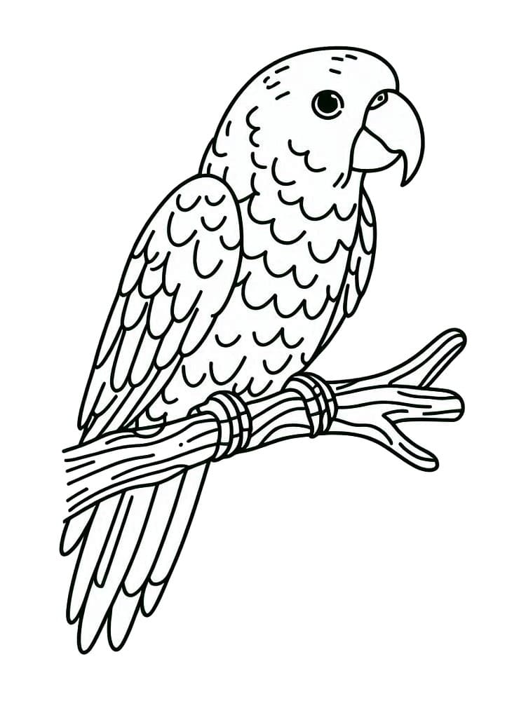 Perroquet Pour Les Enfants De 1 An coloring page