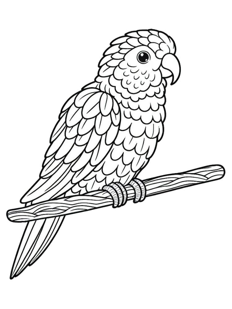 Perroquet Pour Les Enfants De 2 An coloring page