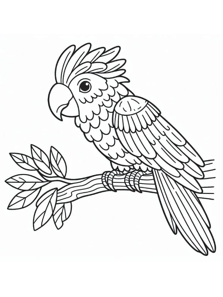 Perroquet Pour Les Enfants De 4 An coloring page