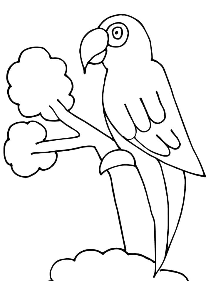 Perroquet sur une Branche coloring page