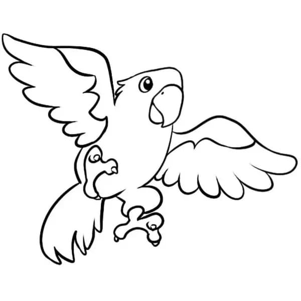 Perroquet Volant coloring page