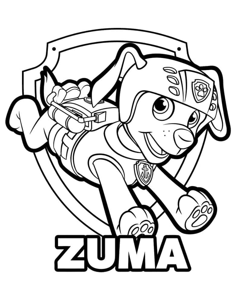 Zuma dans Pat Patrouille coloring page