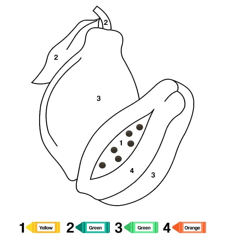 Coloriage Papaye Coloriage par Numéro