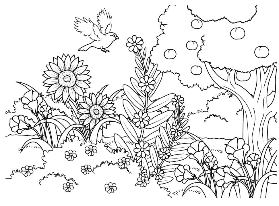 Beau Jardin Fleuri coloring page