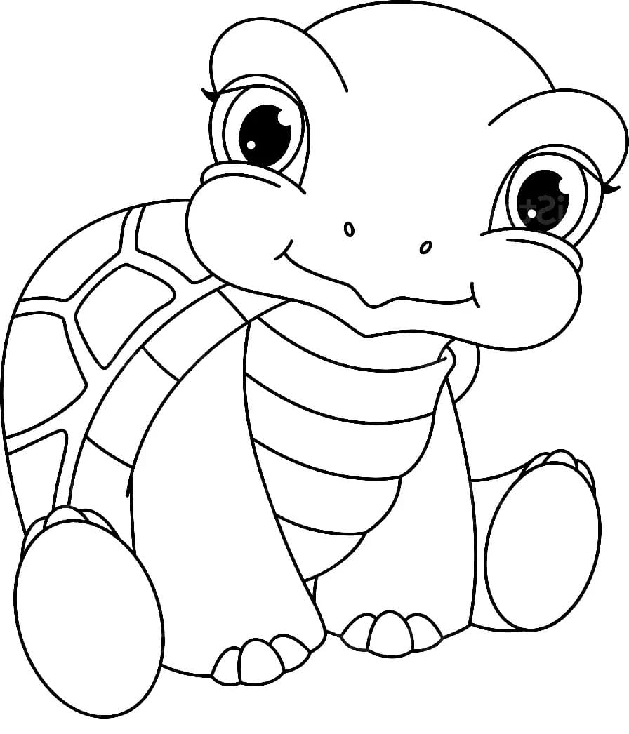 Coloriage Belle Tortue