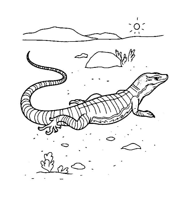 Dessin De Lézard Imprimable coloring page