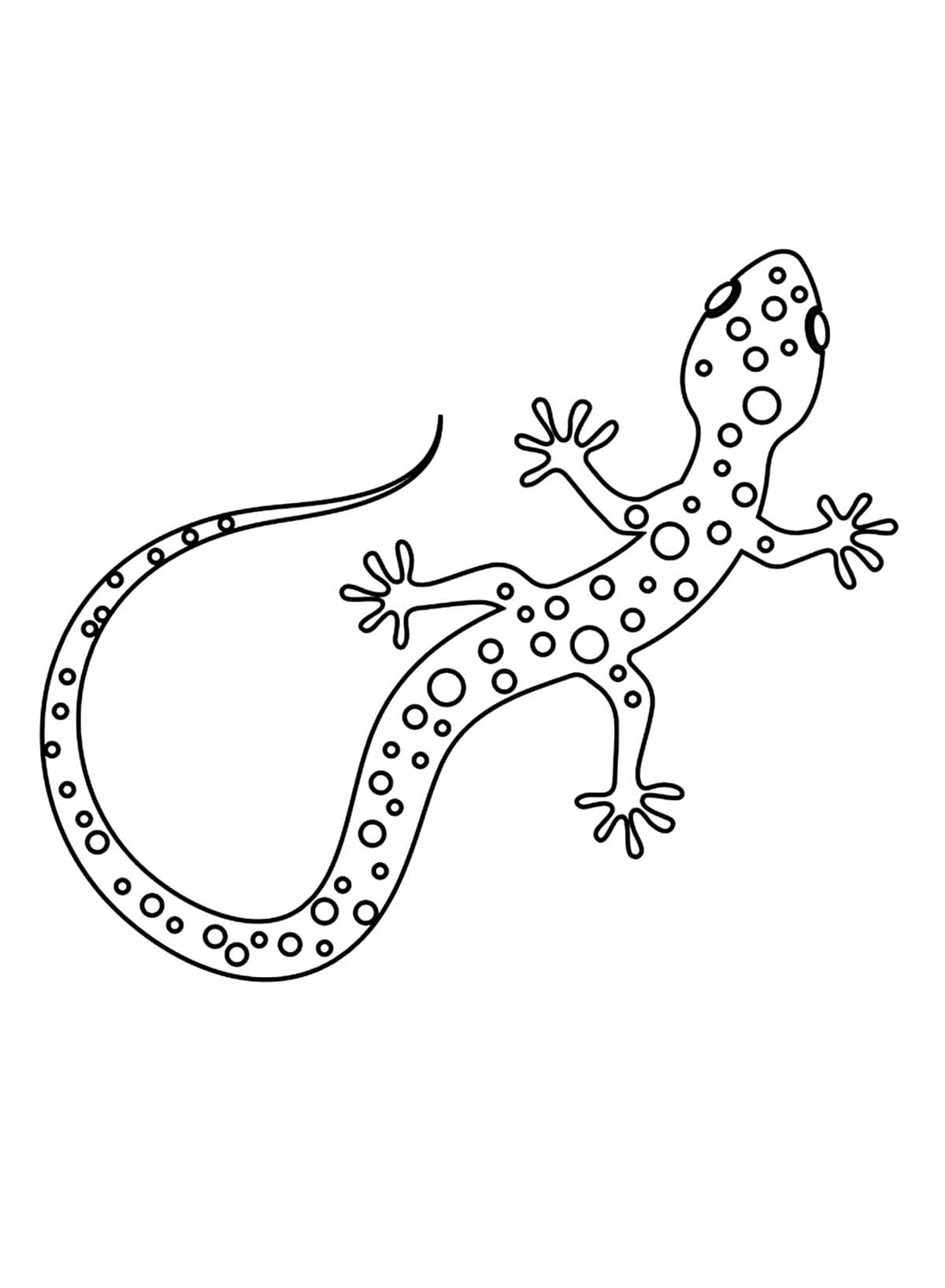 Dessin De Lézard Pour Enfants coloring page