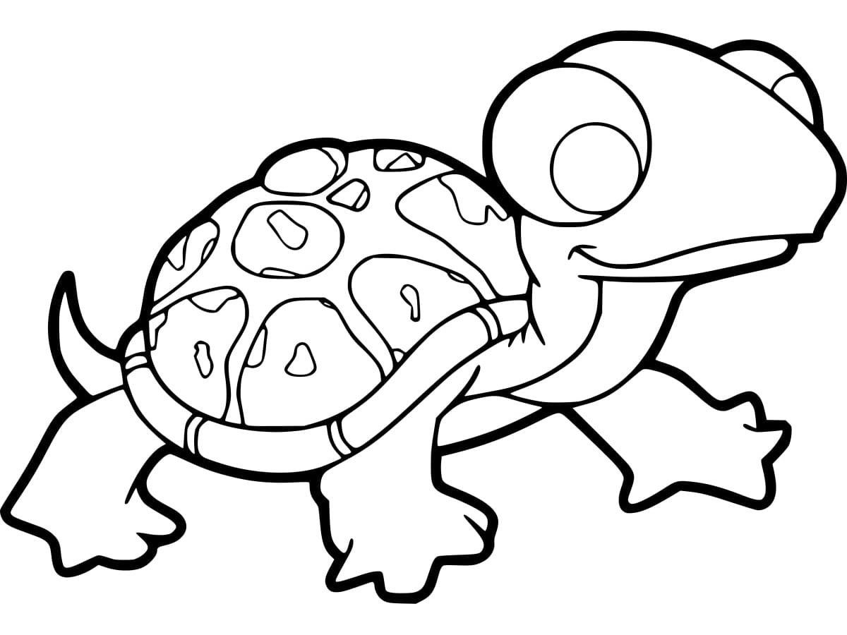 Coloriage Dessin De Tortue Petite T L Charger Et Imprimer Gratuit Sur Coloriageenfant Com