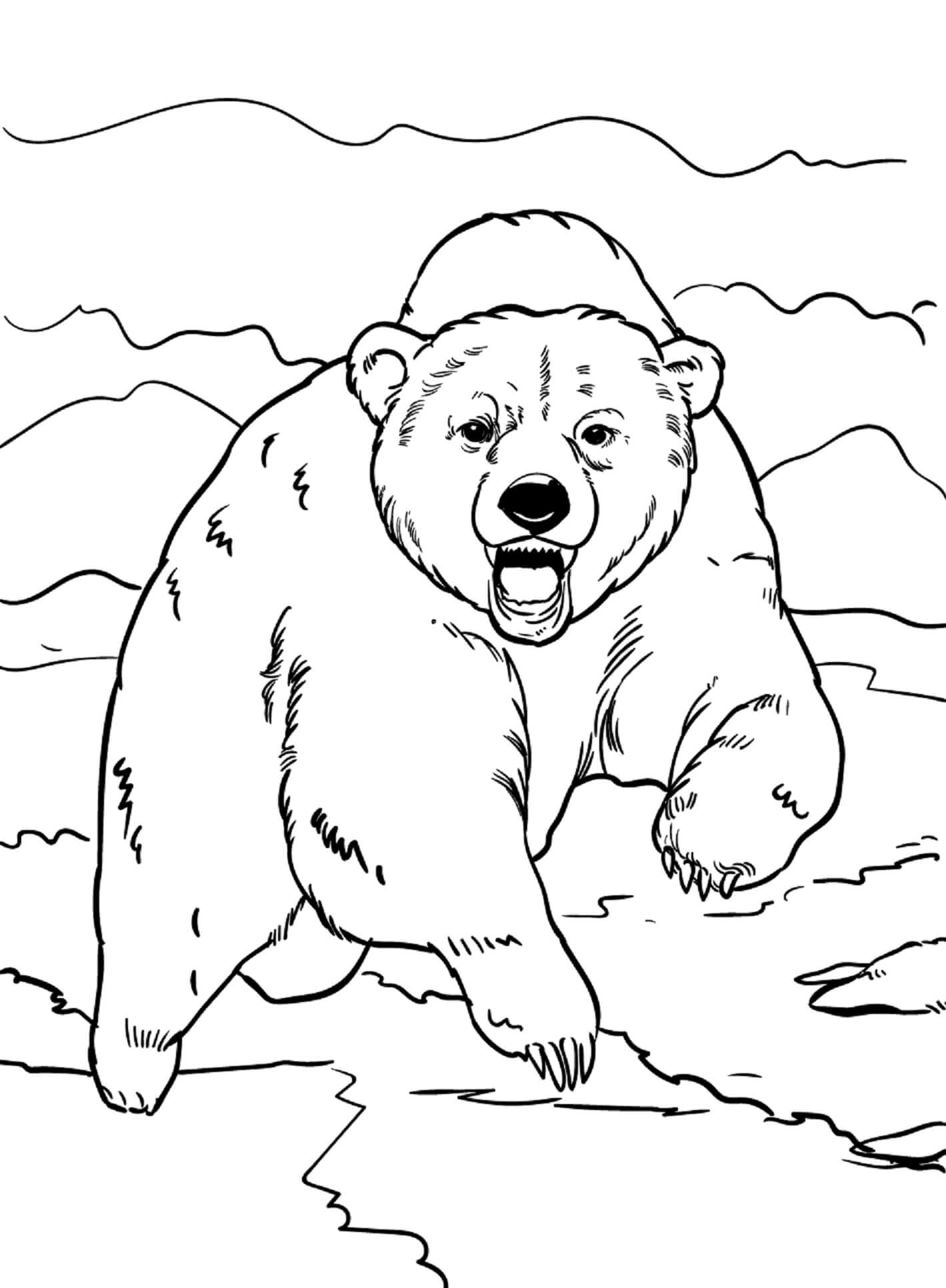 Dessin Gratuit De Ours Attaque coloring page