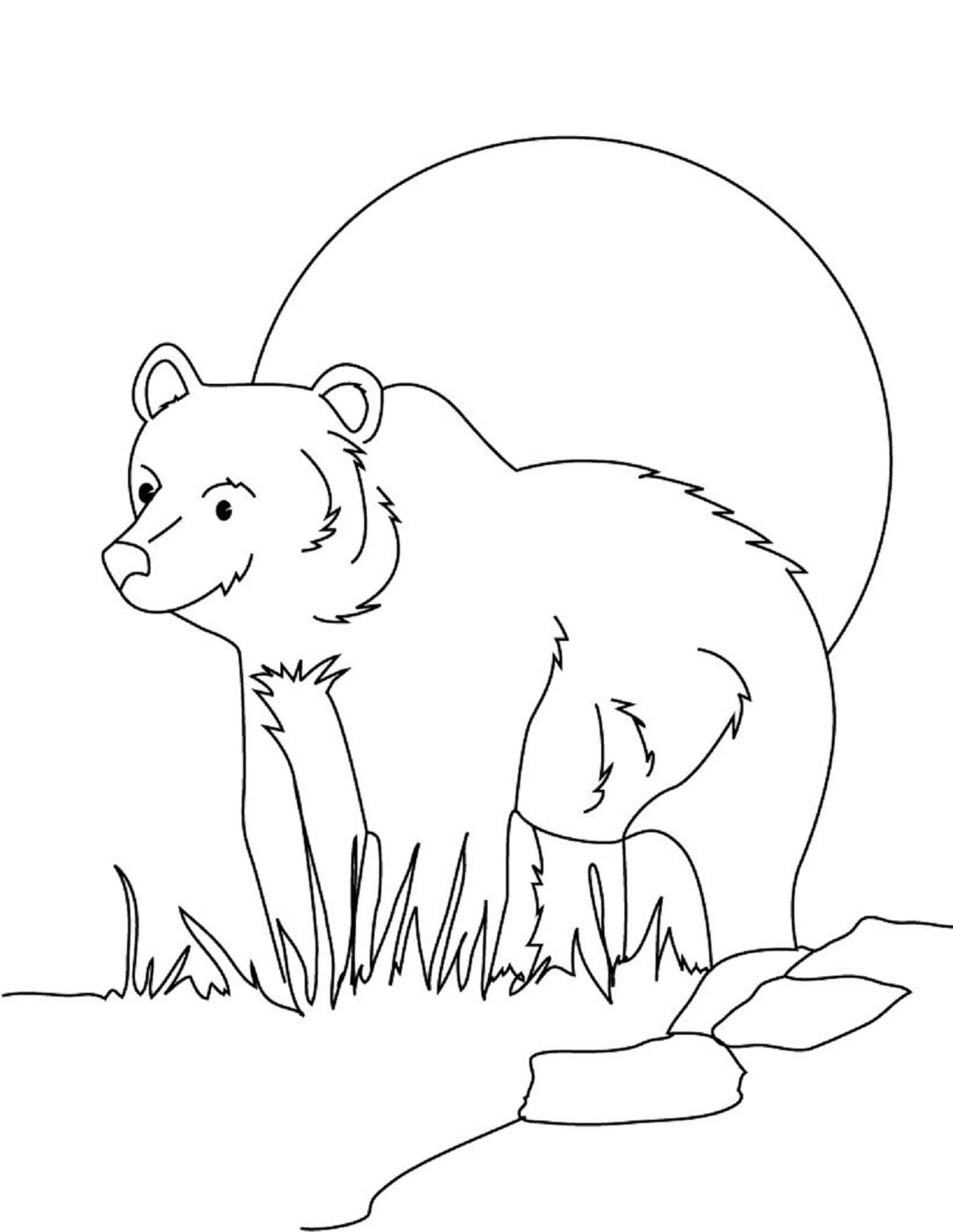 Dessin Gratuit De Ours Souriant Grizzly coloring page