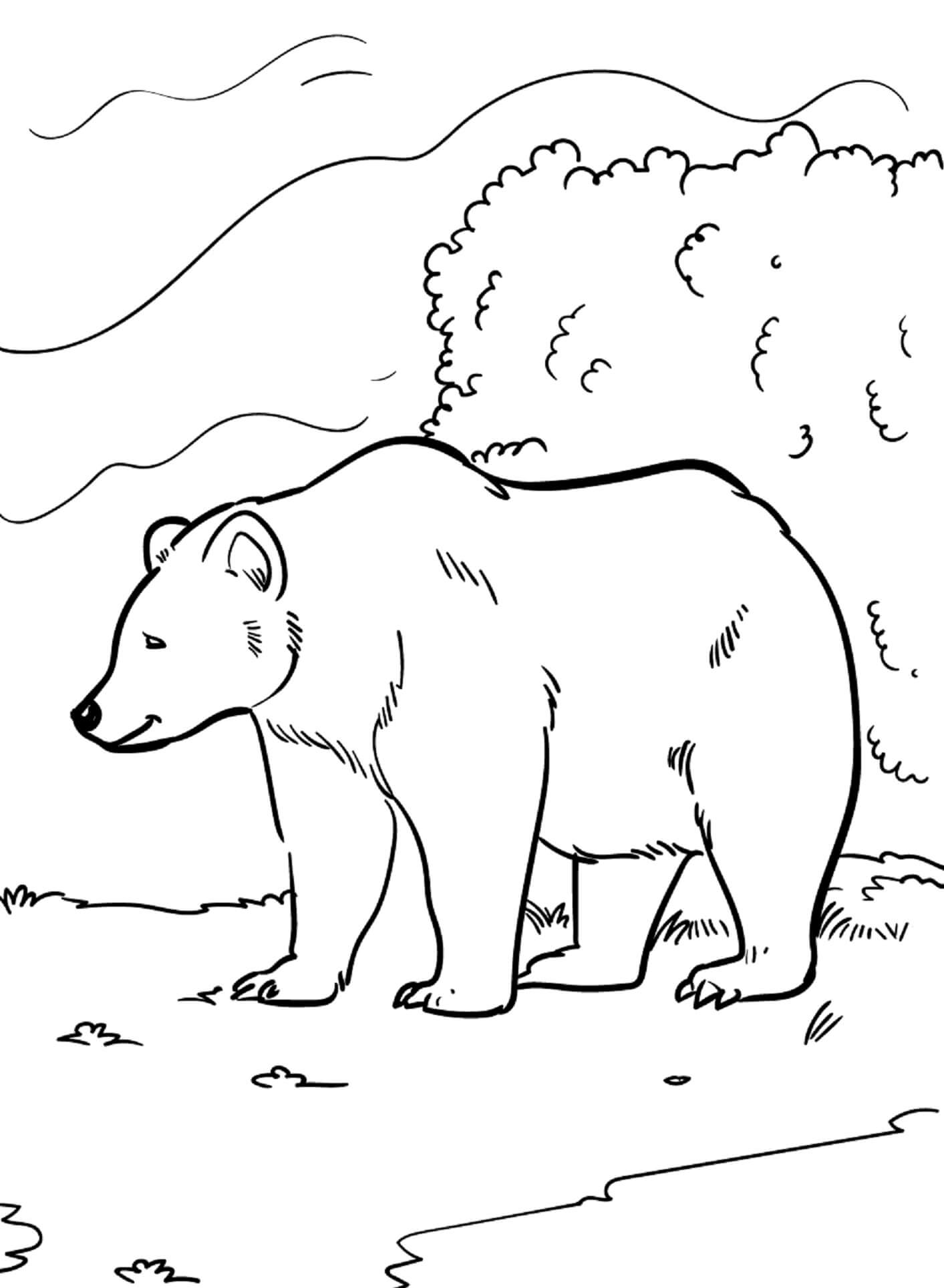 Dessin Gratuit De Ours Souriant coloring page