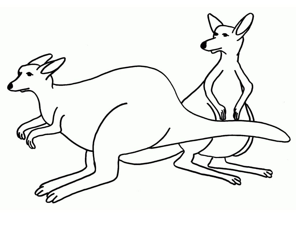 Coloriage Deux Kangourous