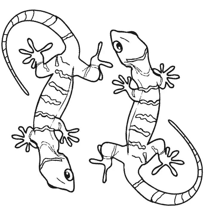 Deux Lézards coloring page