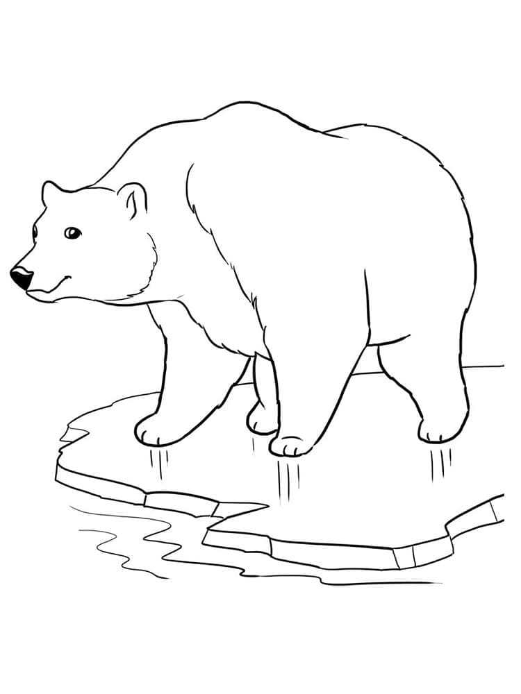 En Isbjörn coloring page