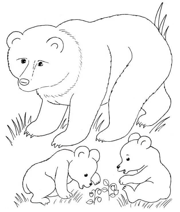 Coloriage Famille d’ours