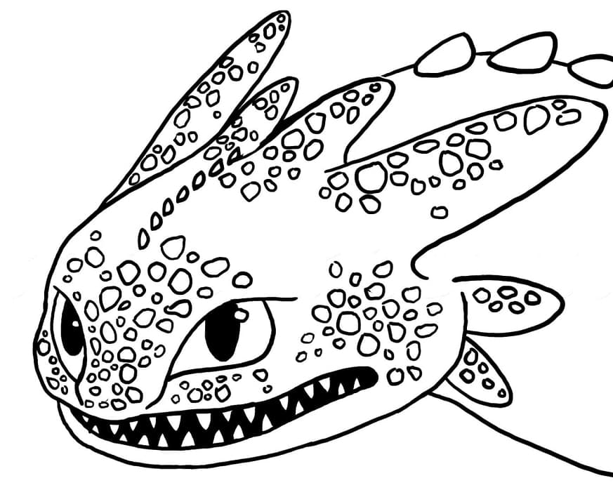 Furie Nocturne Krokmou coloring page