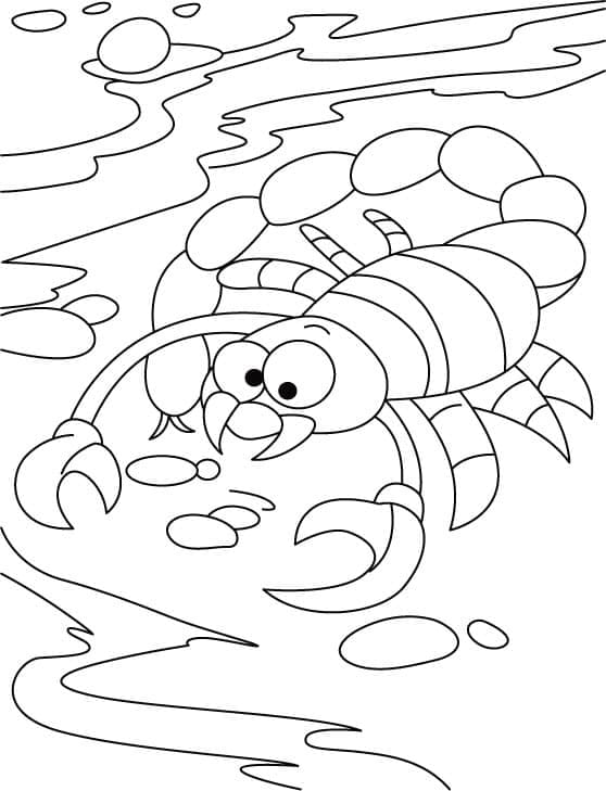 Insecte Scorpion coloring page
