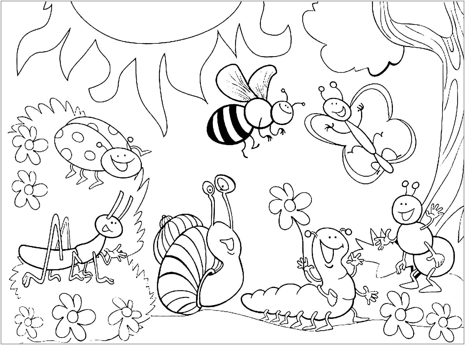 Coloriage Insecte