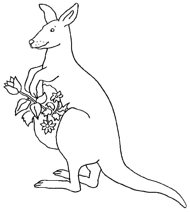 Coloriage Kangourou avec des Fleurs