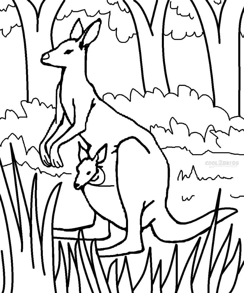 Coloriage Kangourou dans la Forêt
