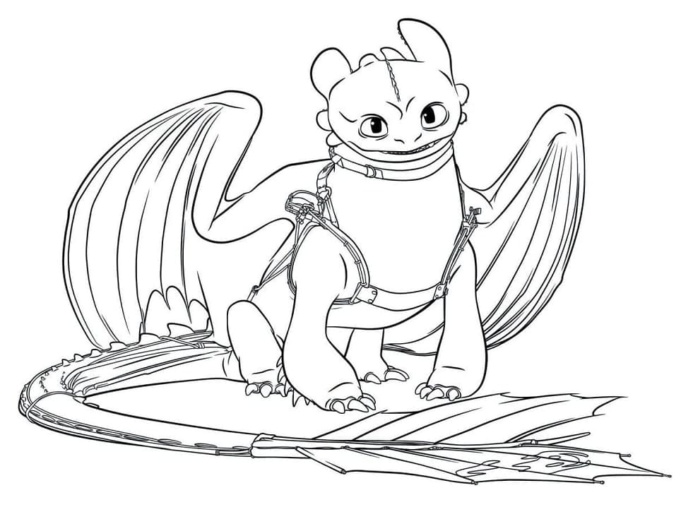 Coloriage Krokmou (Toothless)
