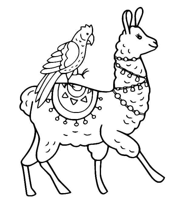 Coloriage Lama et un Perroquet