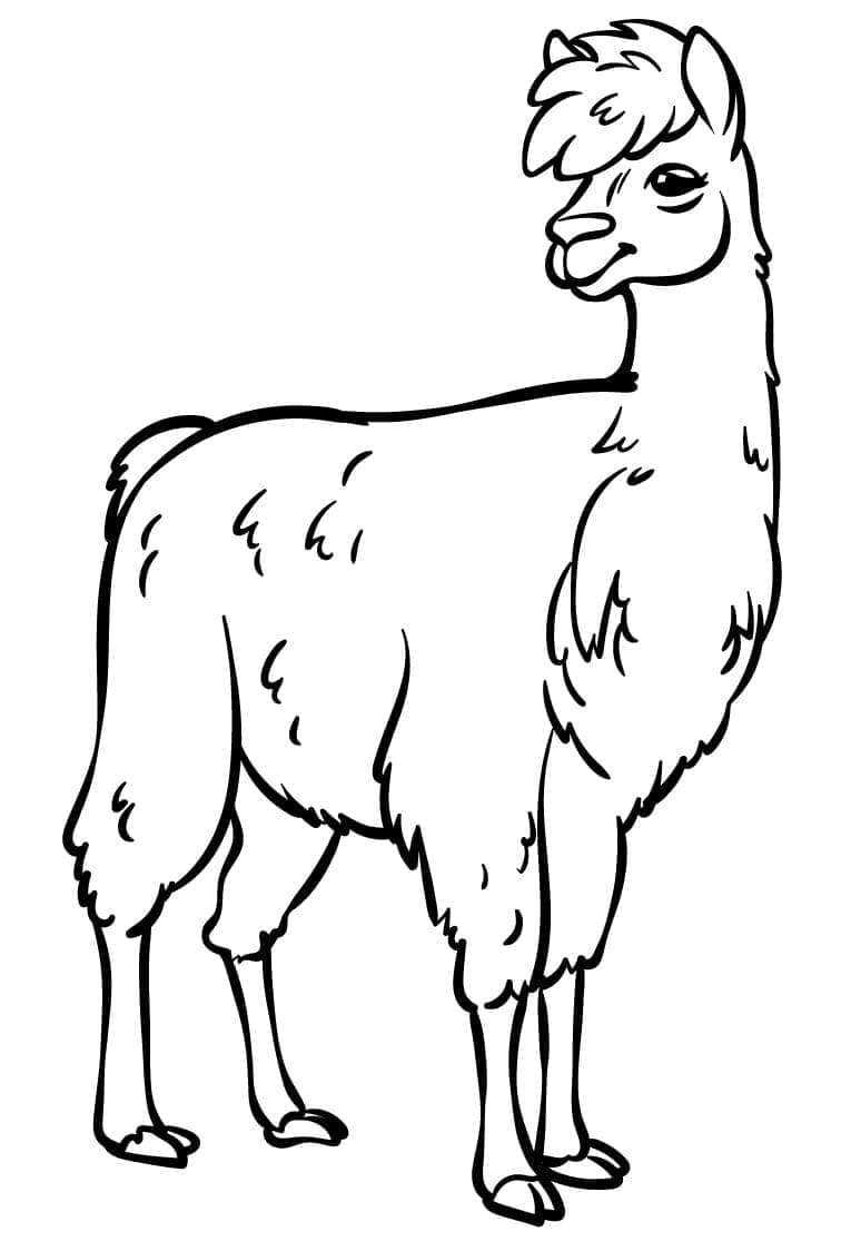 Lama Pour les Enfants coloring page