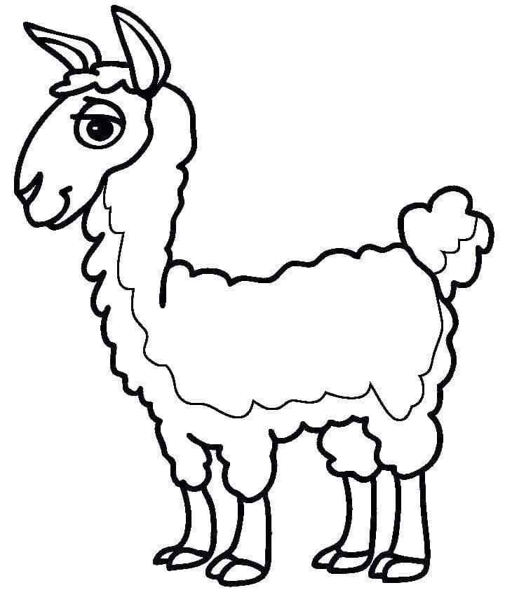 Lama Souriant coloring page