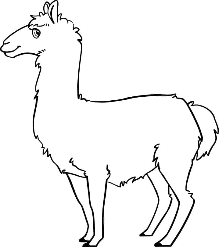 Le Lama Sourit coloring page