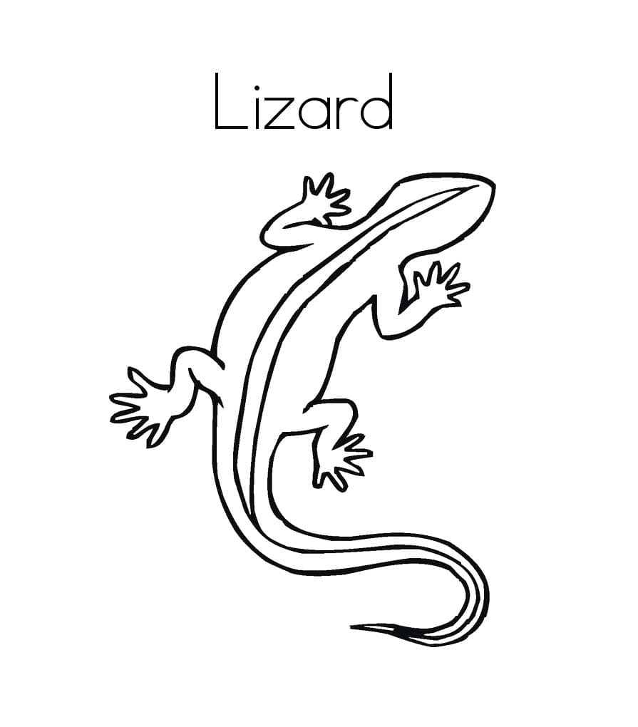 Lézard Imprimable Pour Les Enfants coloring page