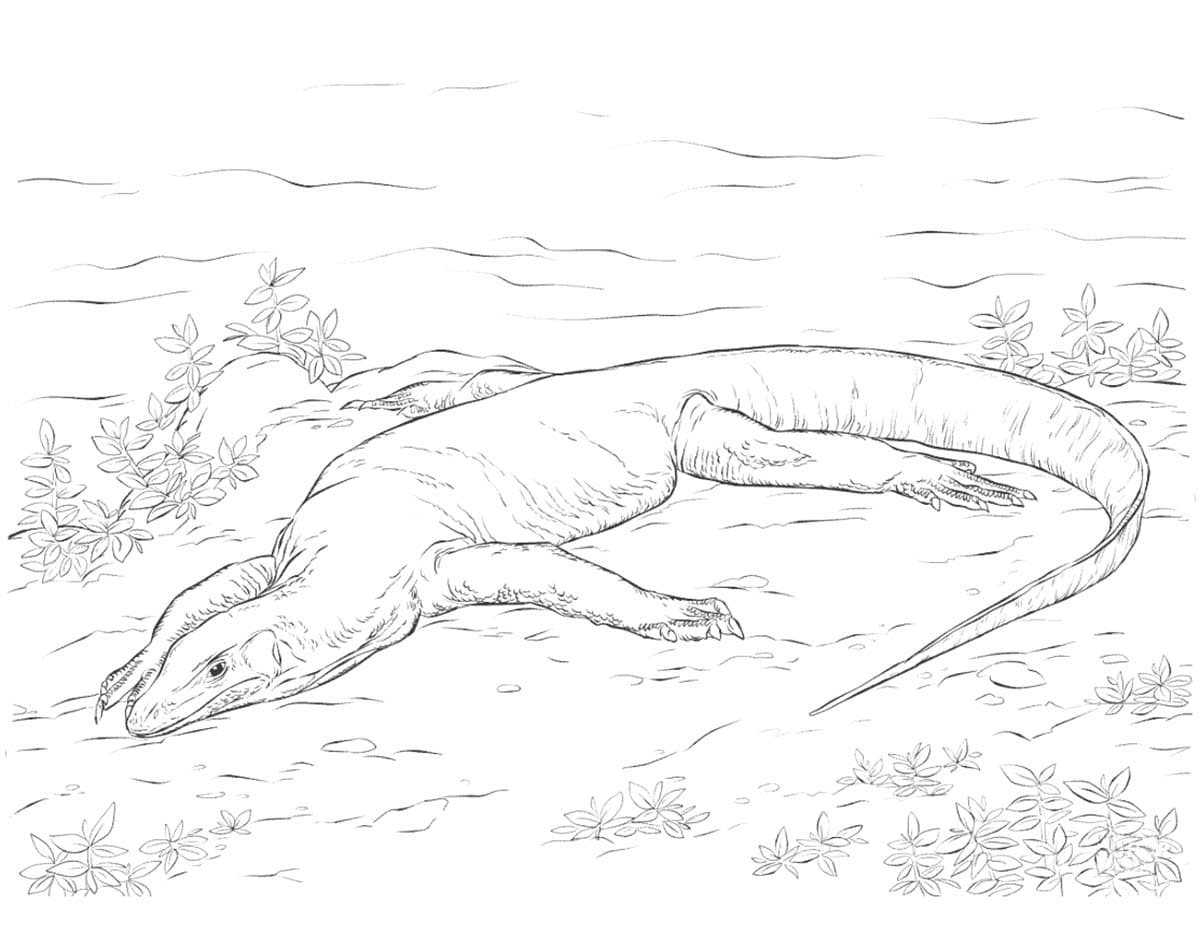 Lézard Pour Les Enfants De 5 An coloring page