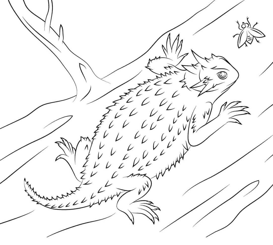 Lézard Pour Les Enfants De 6 An coloring page