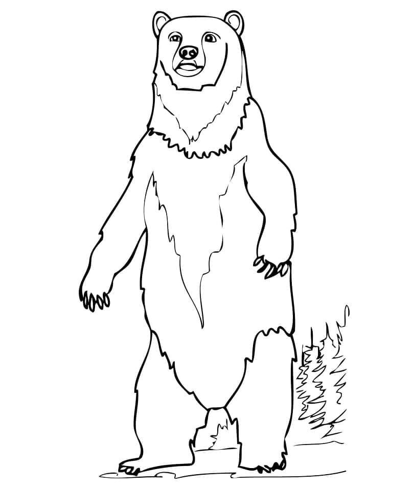 Ours Debout coloring page