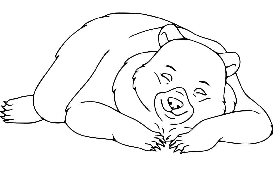 Ours Endormi coloring page