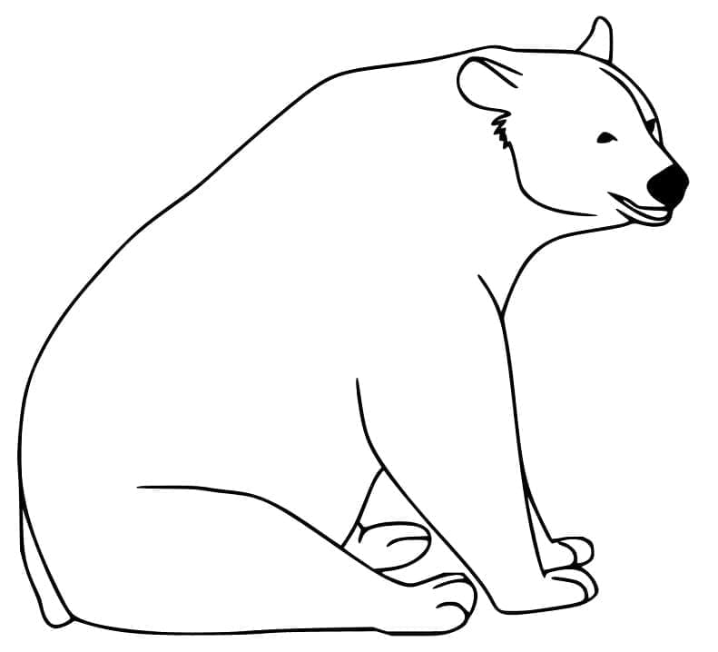 Ours Noir coloring page