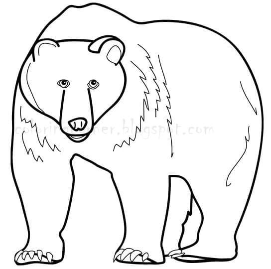 Ours Pour les Enfants coloring page